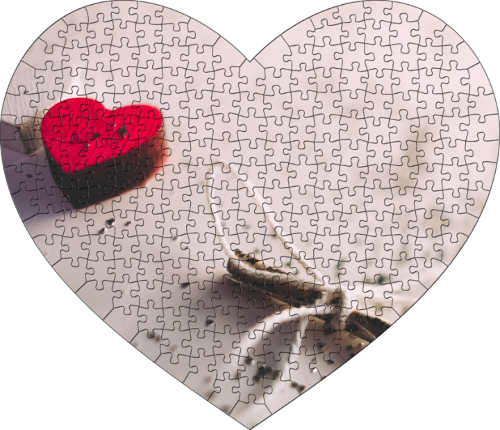 Custom Jigsaw Puzzles — The Jigsaw Puzzle Guy